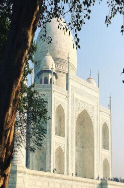 The Taj